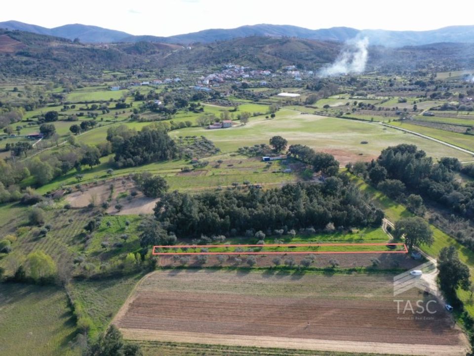 Helårsgrund i Fundao, Castelo Branco - foto 1