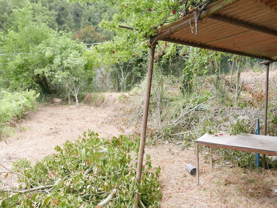 Helårsgrund i Soldano, Imperia - foto 2
