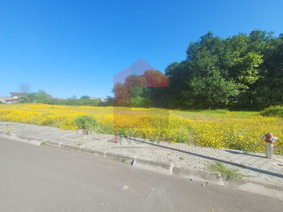 Helårsgrund i Vila Verde, Braga - foto 4