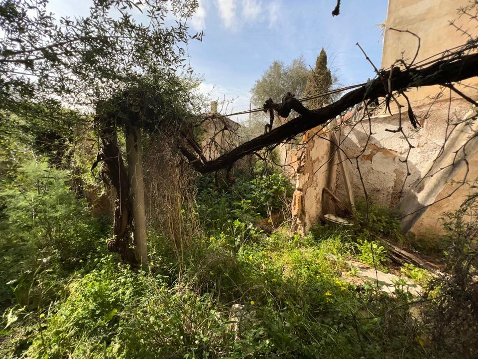Erhvervsejendom i Sant Llorenc Des Cardassar, Mallorca - foto 1