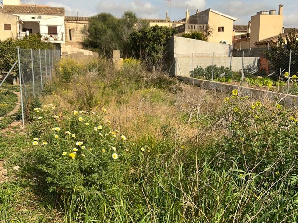 Erhvervsejendom i Sant Llorenc Des Cardassar, Mallorca - foto 4