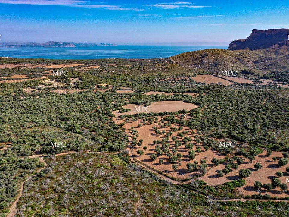 Landejendom i Arta, Mallorca - foto 5