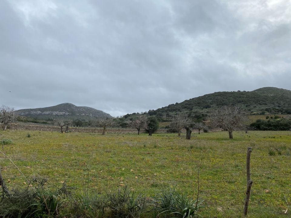 Helårsgrund i Manacor, Mallorca - foto 2