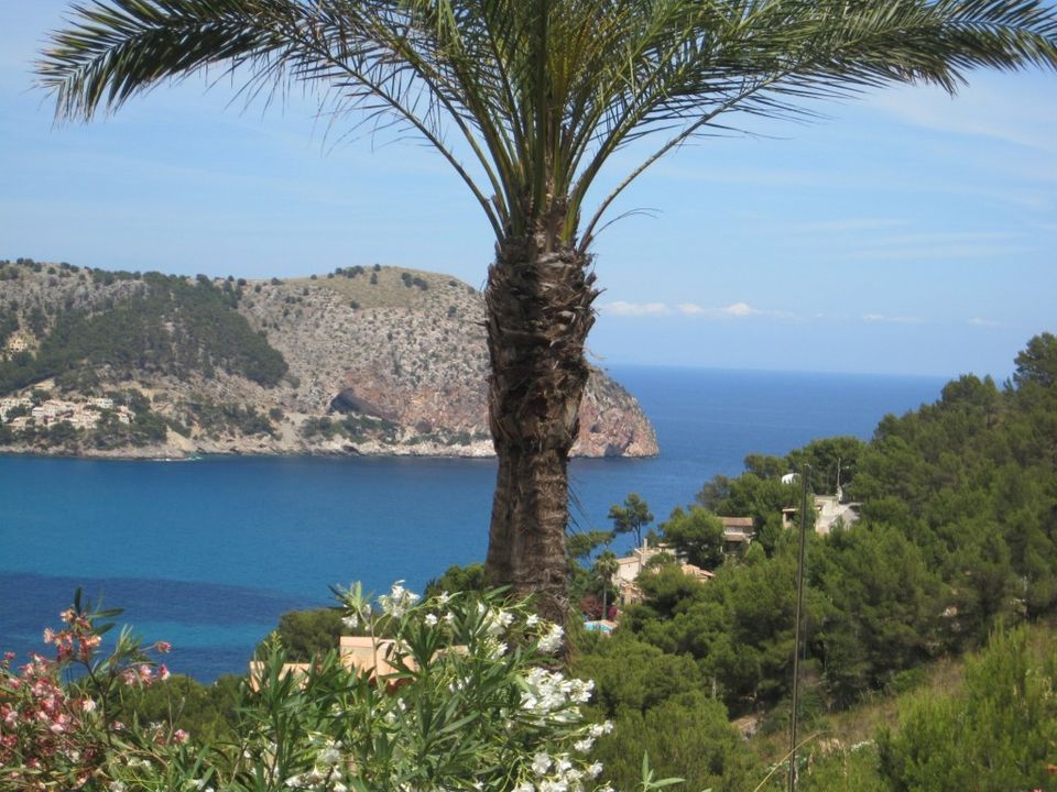 Helårsgrund i Capdepera, Mallorca - foto 3