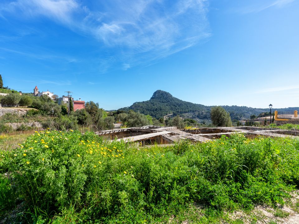 Helårsgrund i Galilea, Mallorca - foto 1