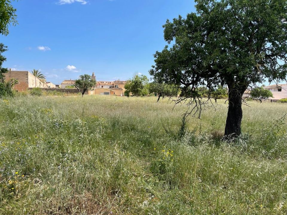 Helårsgrund i Consell, Mallorca - foto 1