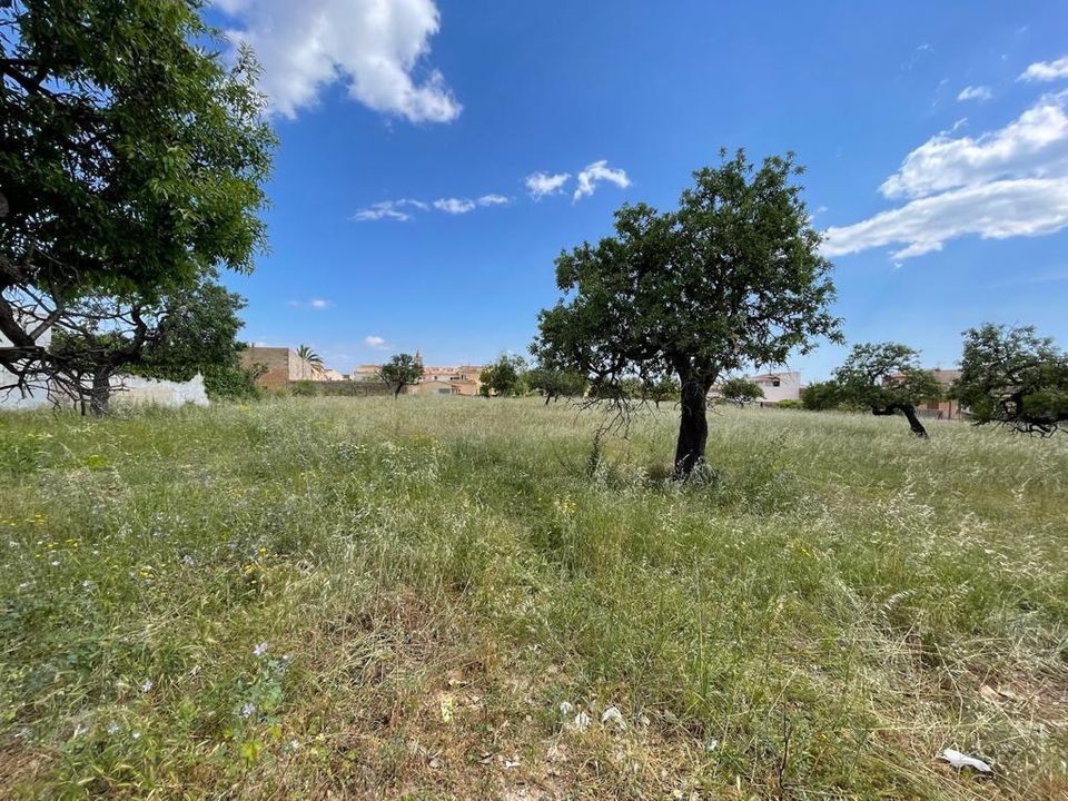 Helårsgrund i Consell, Mallorca - foto 2