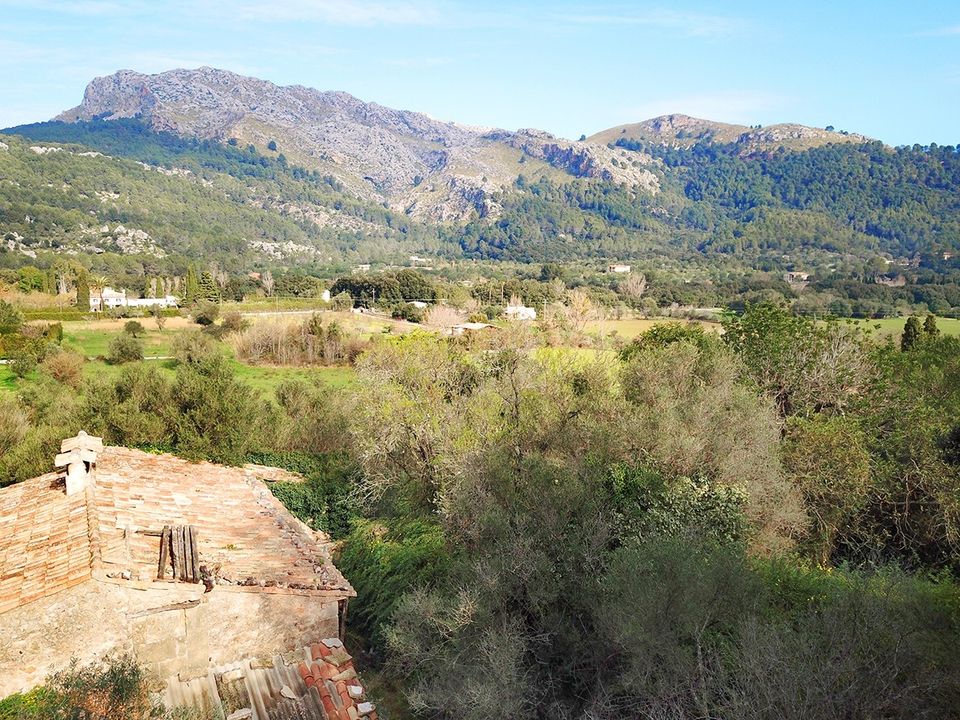 Cortijo i Pollenca, Mallorca - foto 3