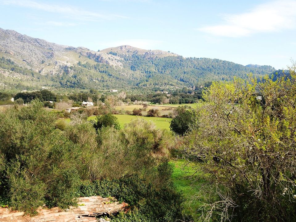 Cortijo i Pollenca, Mallorca - foto 5