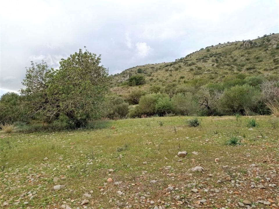 Helårsgrund i Sant Llorenc Des Cardassar, Mallorca - foto 1