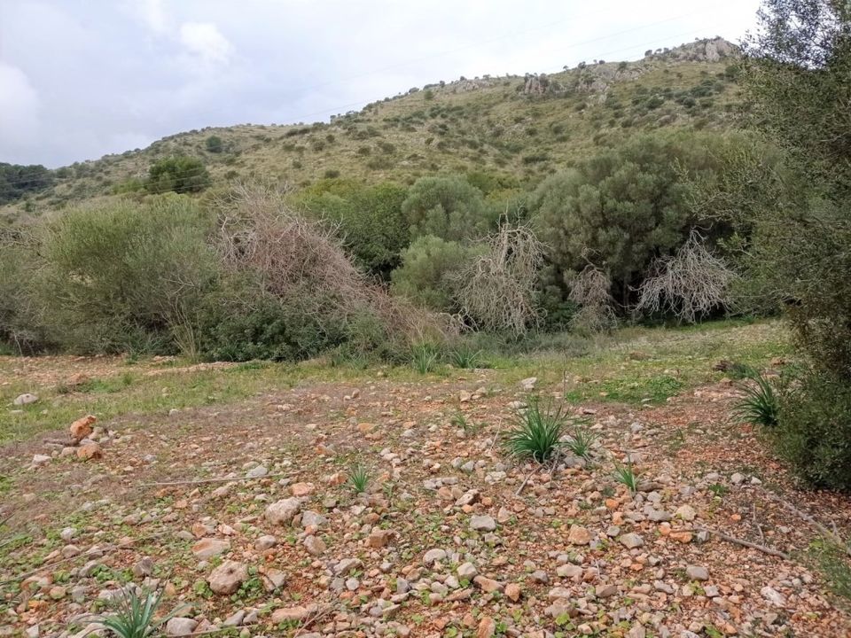 Helårsgrund i Sant Llorenc Des Cardassar, Mallorca - foto 2