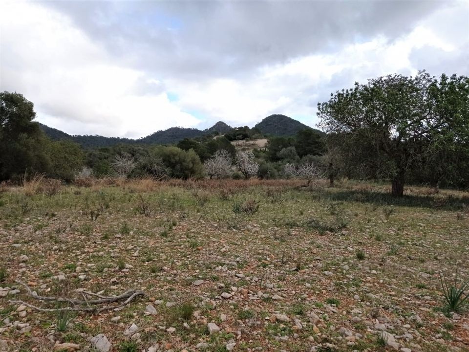 Helårsgrund i Sant Llorenc Des Cardassar, Mallorca - foto 3