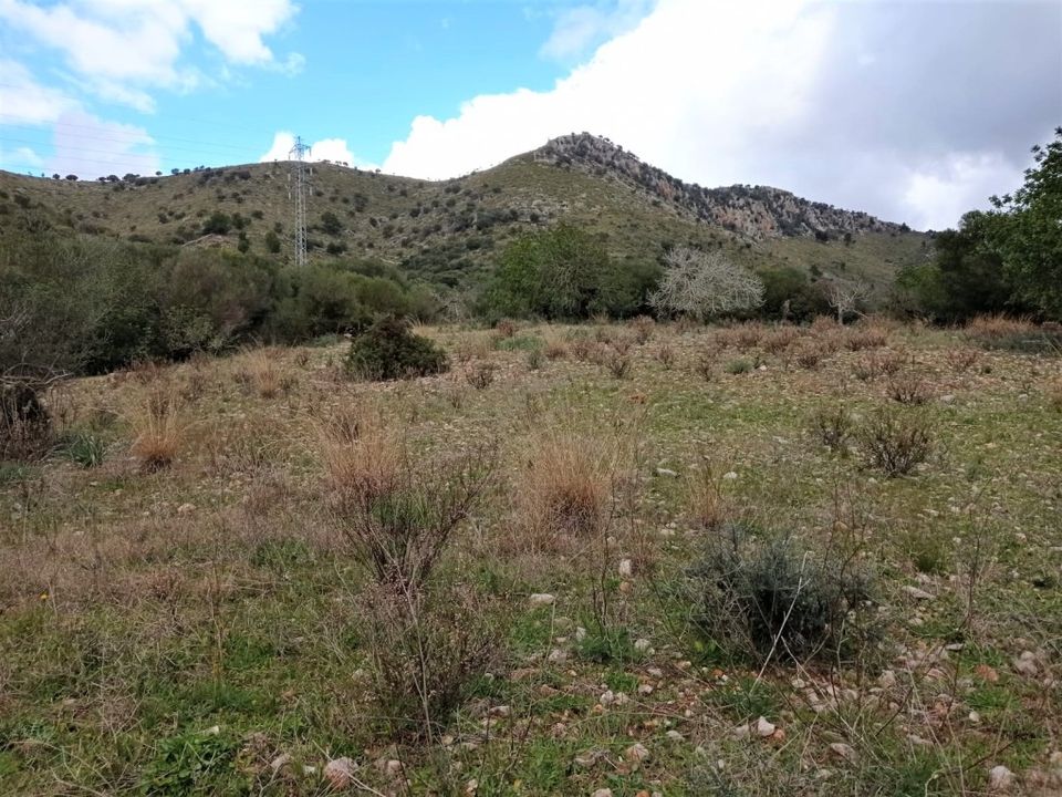 Helårsgrund i Sant Llorenc Des Cardassar, Mallorca - foto 4