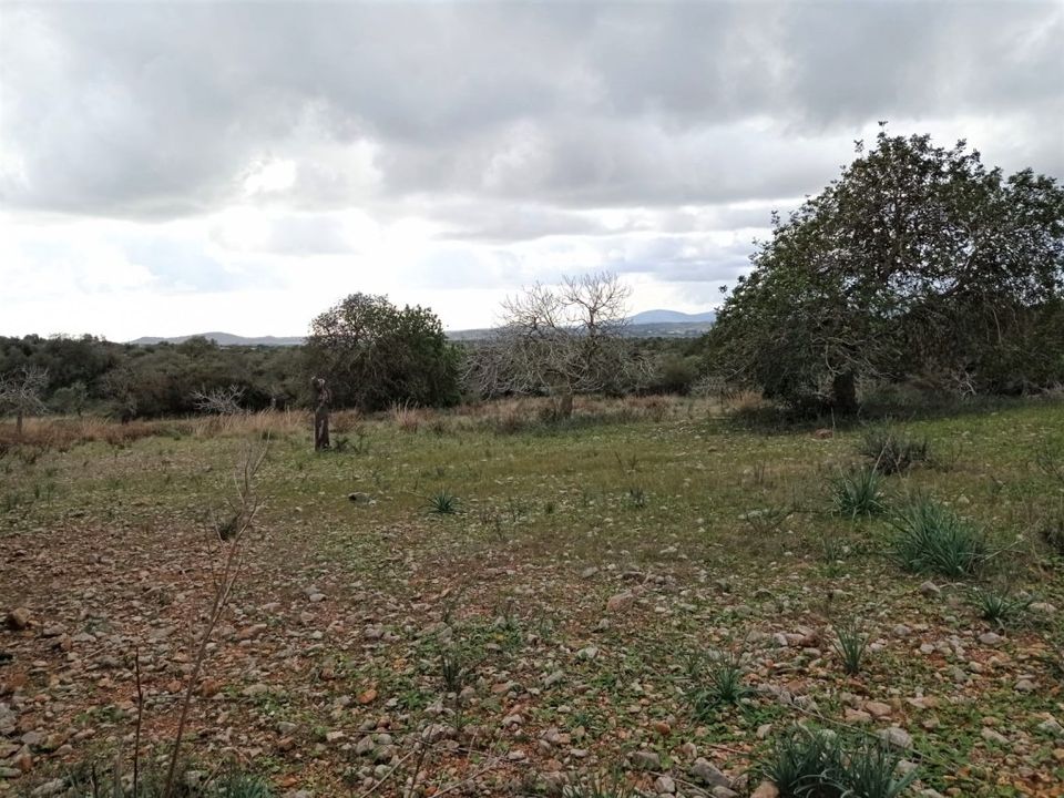 Helårsgrund i Sant Llorenc Des Cardassar, Mallorca - foto 5