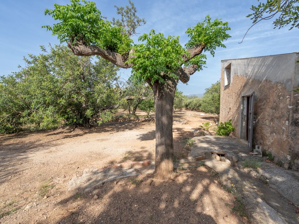 Finca i Aldover, Tarragona - bilde 3