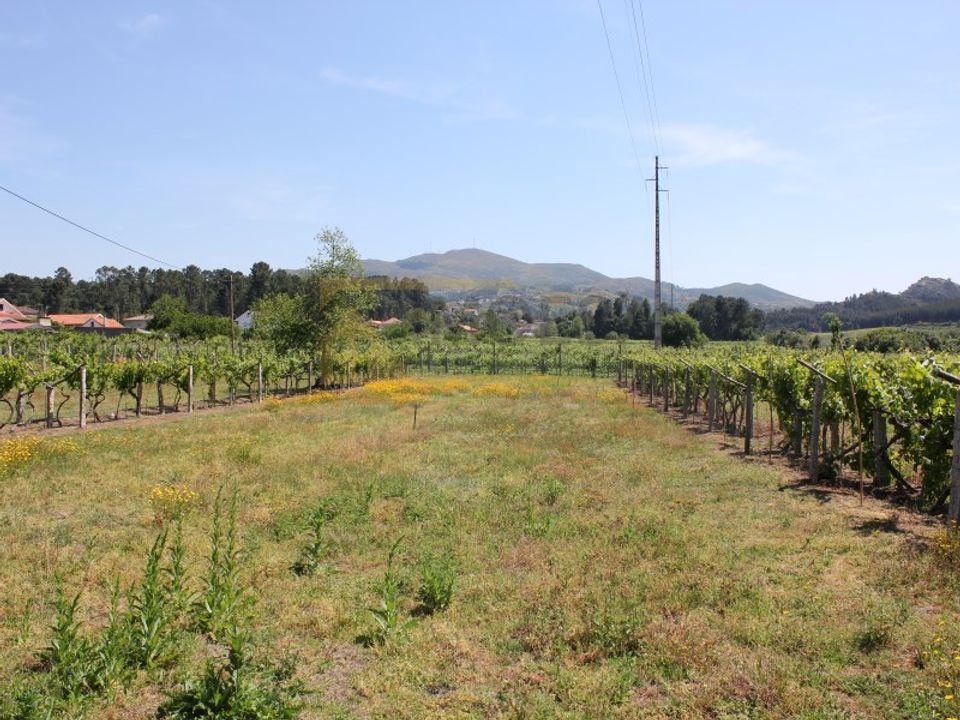 Helårsgrund i Moncao, Viana do Castelo - foto 2