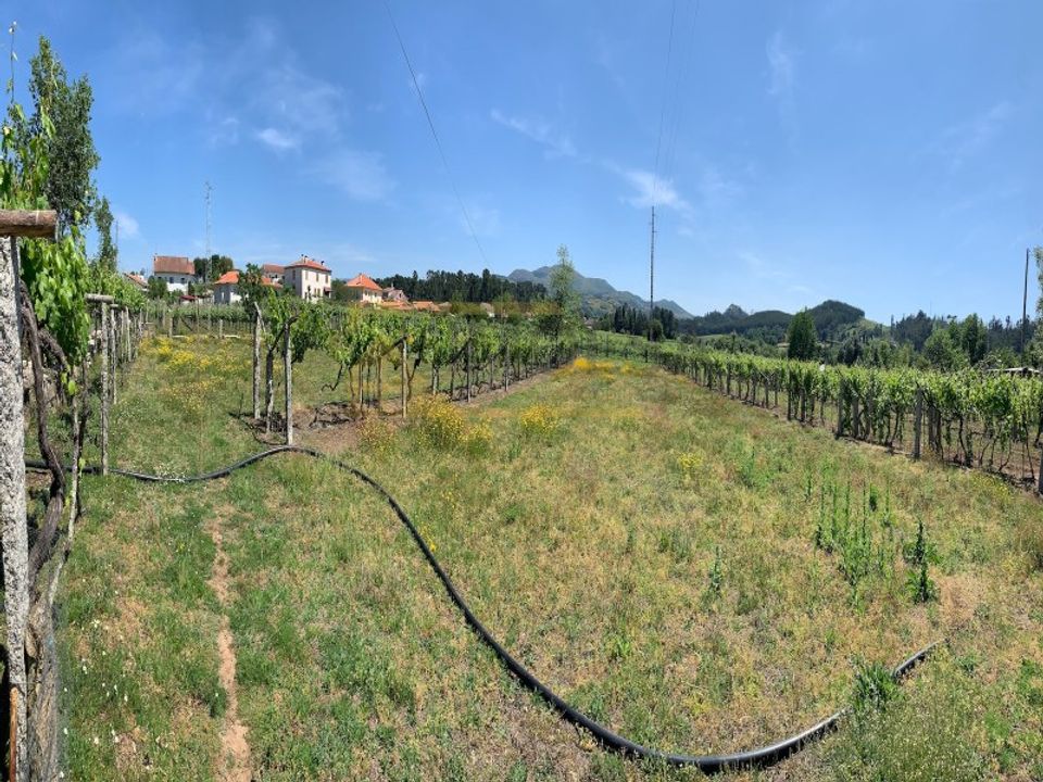 Helårsgrund i Moncao, Viana do Castelo - foto 4