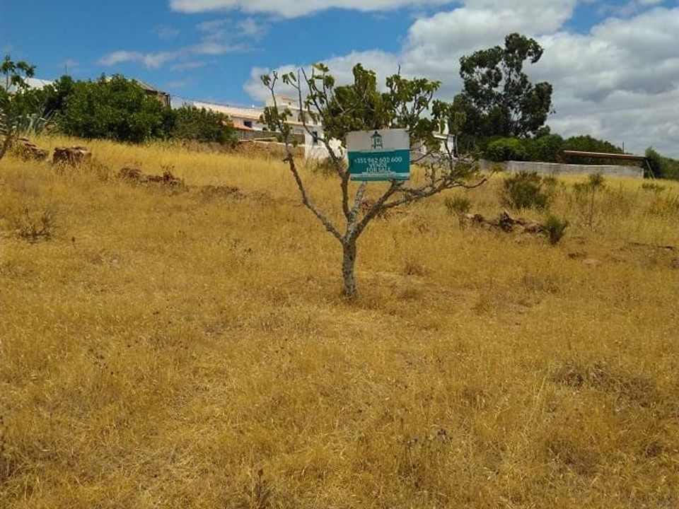 Ruinere i Lagoa, Faro - foto 2