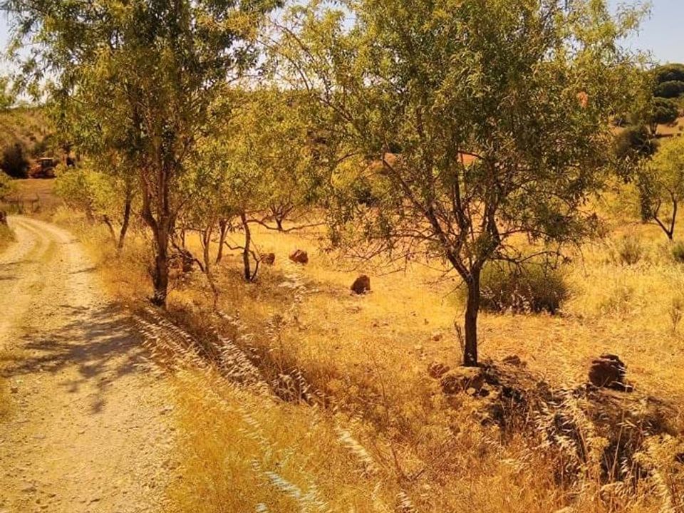 Ruinere i Lagoa, Faro - foto 4