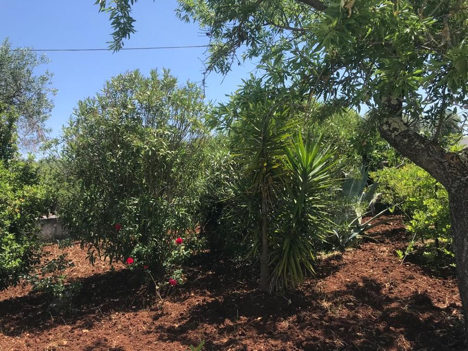 Herregård i Ceglie Messapica, Brindisi - bilde 2