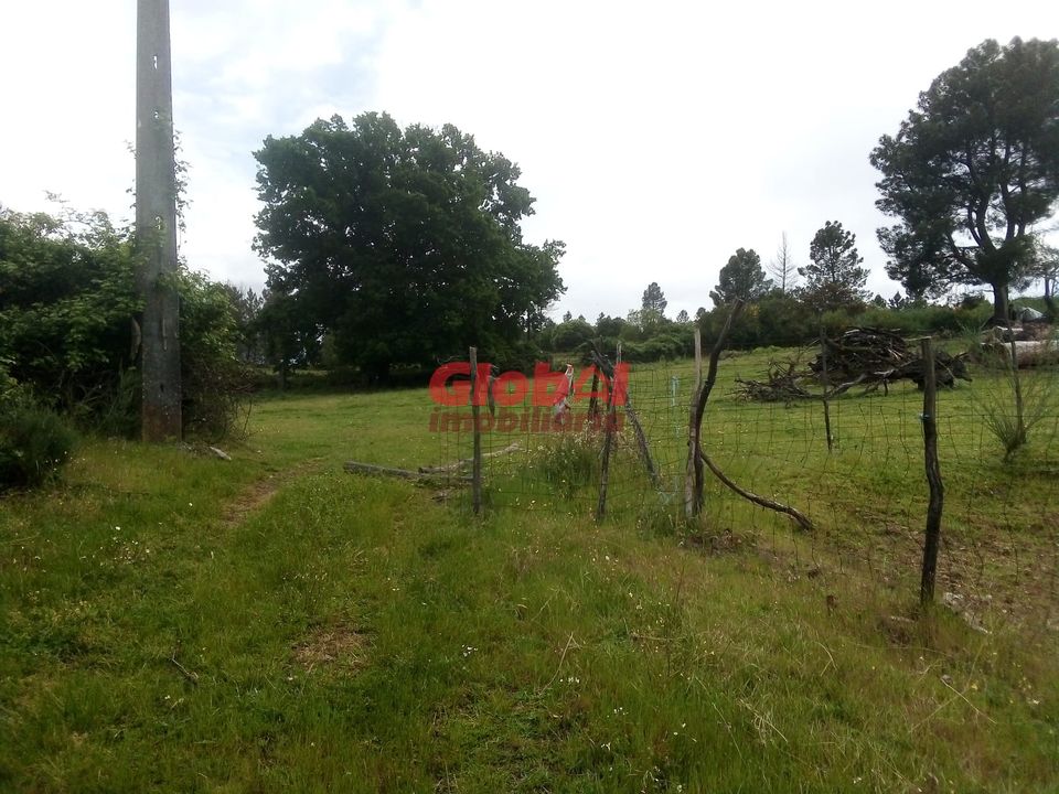Helårsgrund i Gouveia, Guarda - foto 3