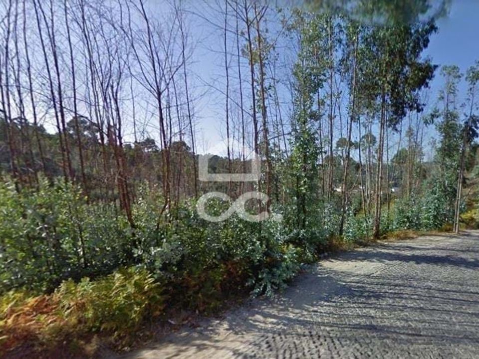 Helårsgrund i Penafiel, Porto - foto 4