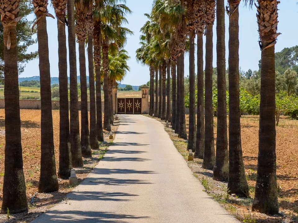 Villa in Algaida, Mallorca - foto 2