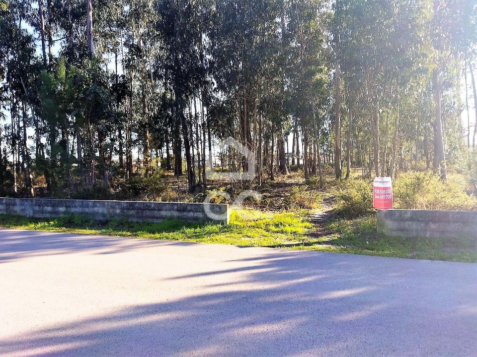 Helårsgrund i Vieira de Leiria, Leiria - foto 2