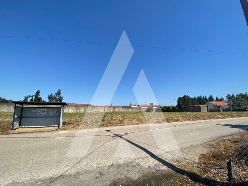 Helårsgrund i Anadia, Aveiro - foto 2