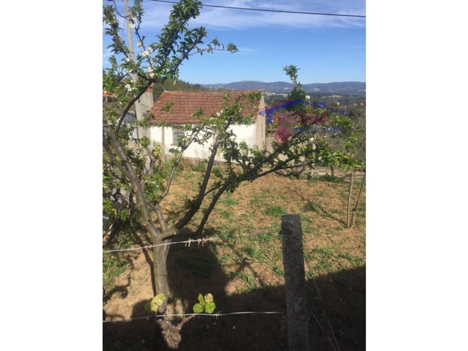 Landejendom i Serta, Castelo Branco - foto 3