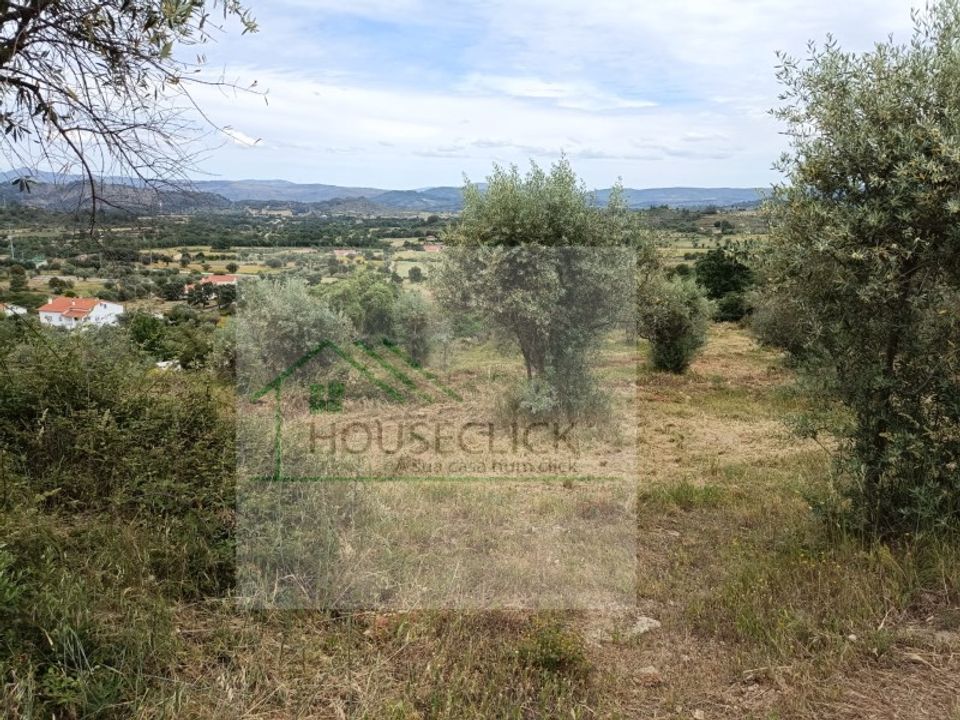 Helårsgrund i Belmonte, Castelo Branco - foto 3