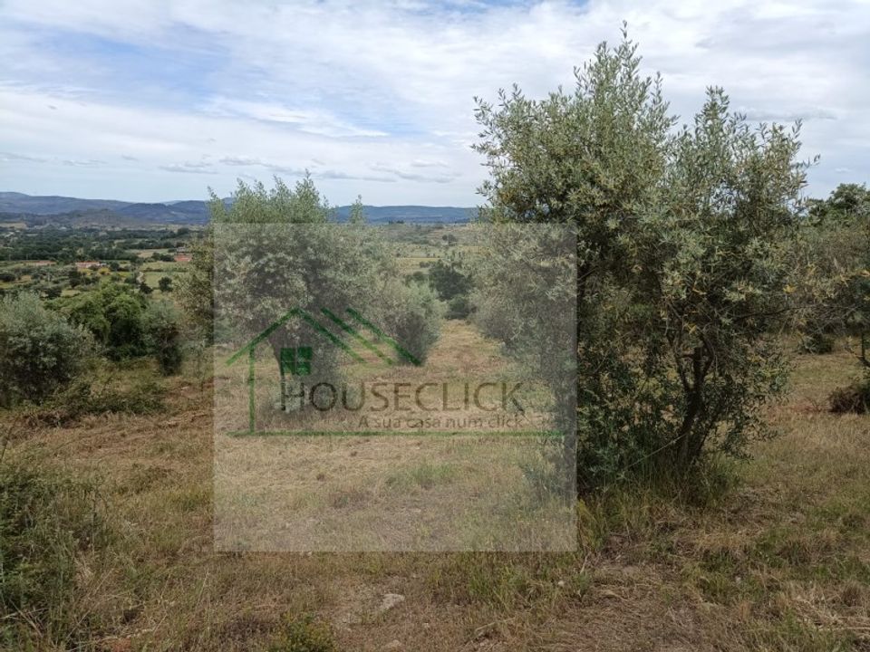 Helårsgrund i Belmonte, Castelo Branco - foto 4