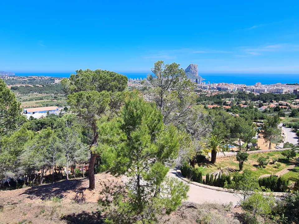 Helårsgrund i Calpe, Alicante - foto 3