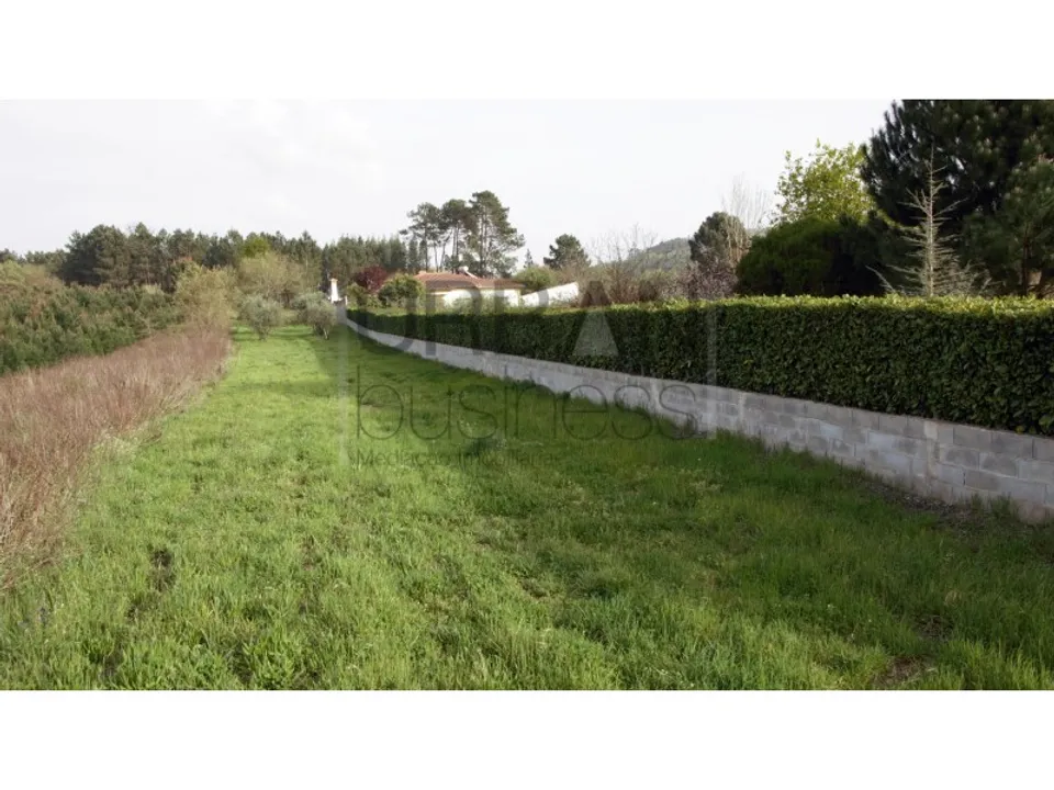 Farm i Porto de Mos, Leiria - foto 3