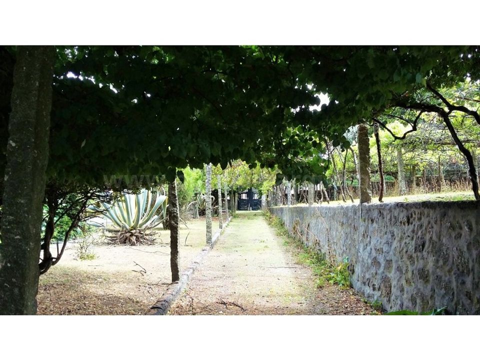 Villa i Vila Nova de Famalicao, Braga - foto 2