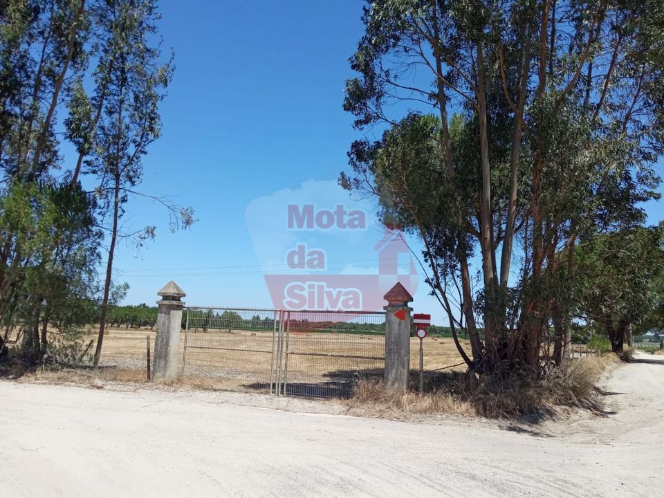 Helårsgrund i Palmela, Setubal - foto 1