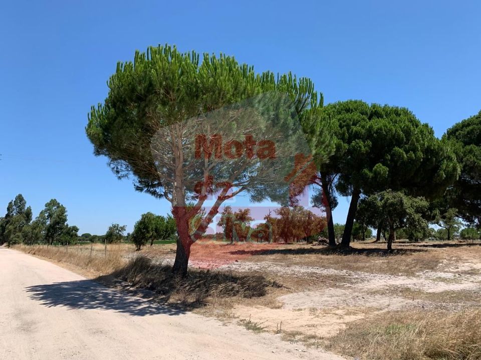 Helårsgrund i Palmela, Setubal - foto 2