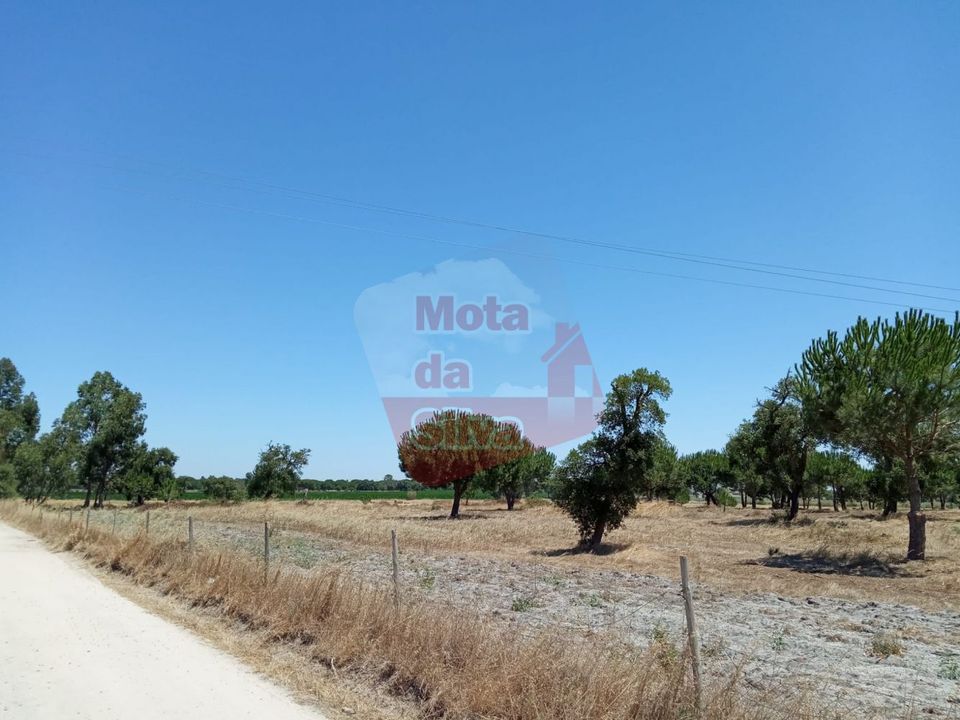 Helårsgrund i Palmela, Setubal - foto 3