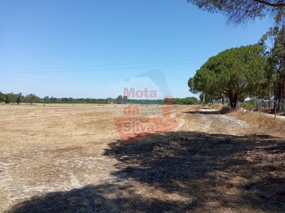 Helårsgrund i Palmela, Setubal - foto 4