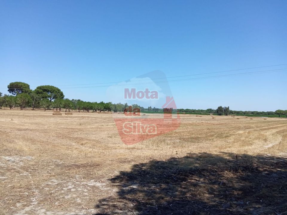 Helårsgrund i Palmela, Setubal - foto 5
