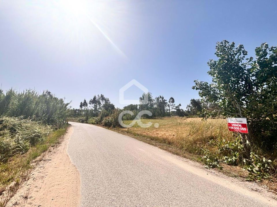 Helårsgrund i Vieira de Leiria, Leiria - foto 1