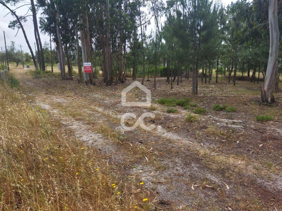 Helårsgrund i Vieira de Leiria, Leiria - foto 4
