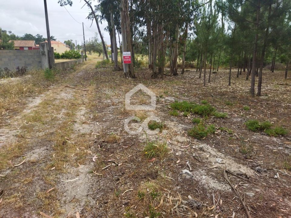 Helårsgrund i Vieira de Leiria, Leiria - foto 2