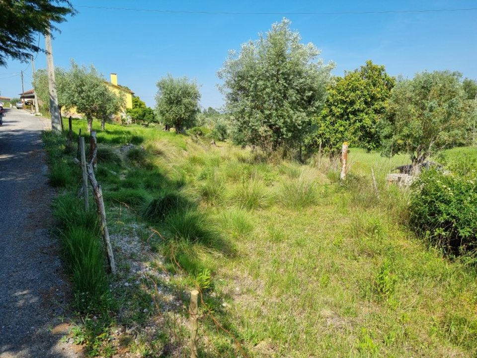 Helårsgrund i Tomar, Santarem - foto 2