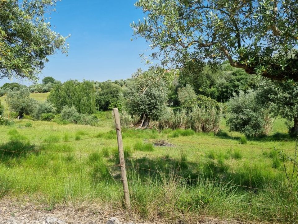 Helårsgrund i Tomar, Santarem - foto 3