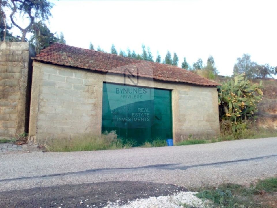 Tomt i Vila de Rei, Castelo Branco - bilde 1