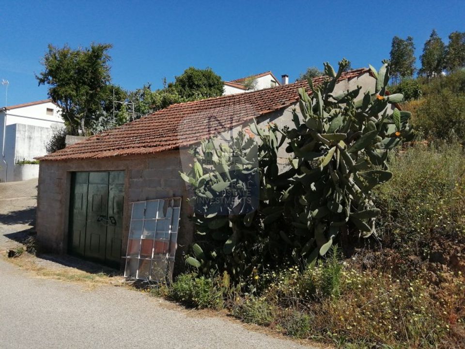 Tomt i Vila de Rei, Castelo Branco - bilde 2