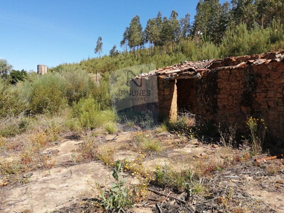 Tomt i Vila de Rei, Castelo Branco - bilde 4