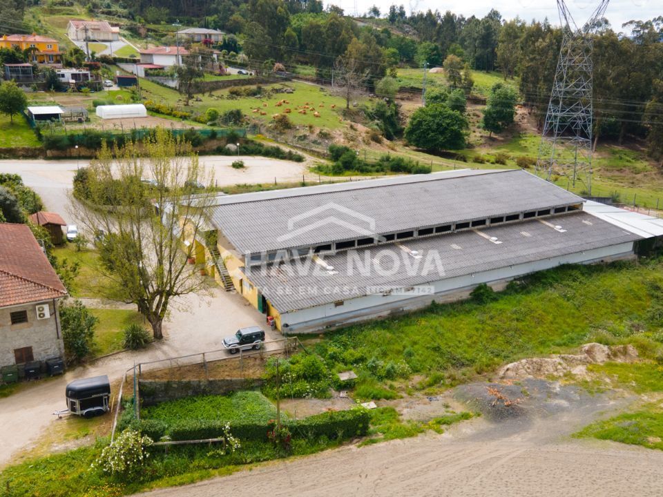 Farm i Guimaraes, Braga - foto 3