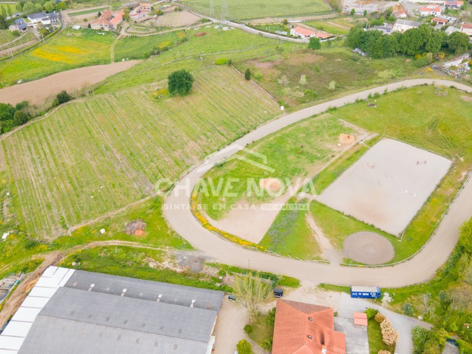 Farm i Guimaraes, Braga - foto 4